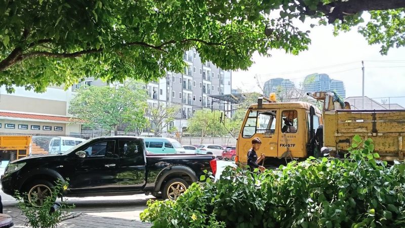 ขอบคุณ สำนักงานเขตบางนา ฝ่ายสิ่งแวดล้อมและสุขาภิบาล - รูปภาพเพิ่มเติม